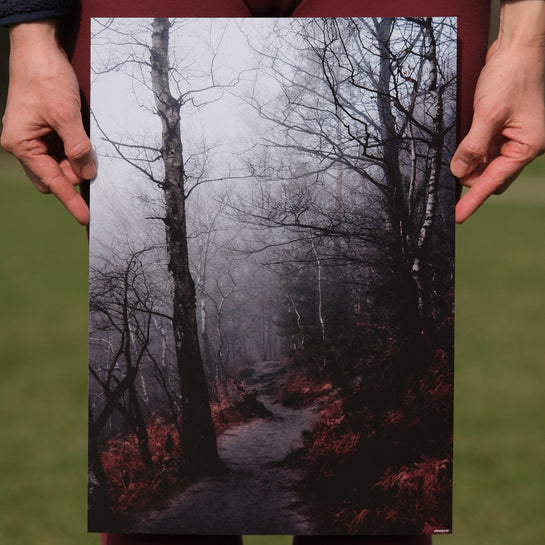 Poster von elbracho im Wald bei Leipzig – Person hält einen Streetart-Fotoprint vor nebligem Birkenwald