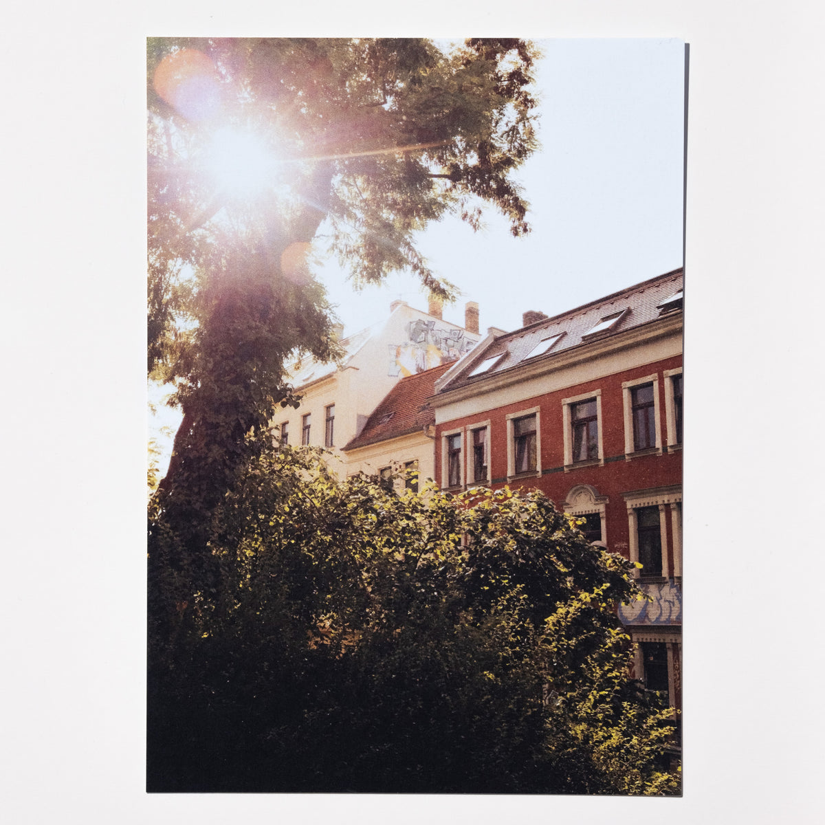 Herderpark – Postkarte als Streetart-Fotokunst aus Leipzig, elbracho