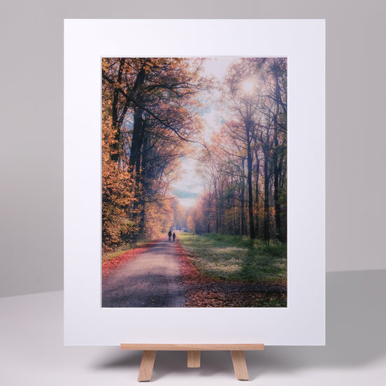 Herbstwald – Edition als Streetart-Fotokunst aus Leipzig, elbracho