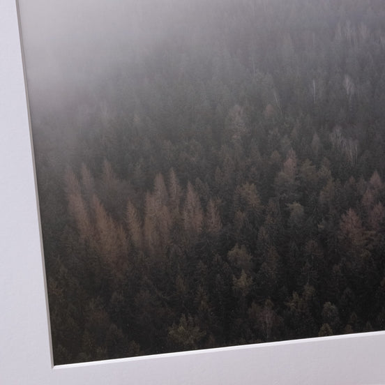 Nebelwald, fotografiert in Leipzig – Ausschnitt des Fotoprints von elbracho