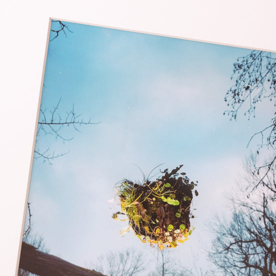 Waldinsel – Nahaufnahme des Editionsdrucks, Streetart-Fotokunst aus Leipzig, elbracho