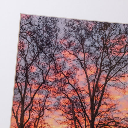 Lieblingspark: Ausschnitt der Original-Fotografie, elbracho Edition aus Leipzig