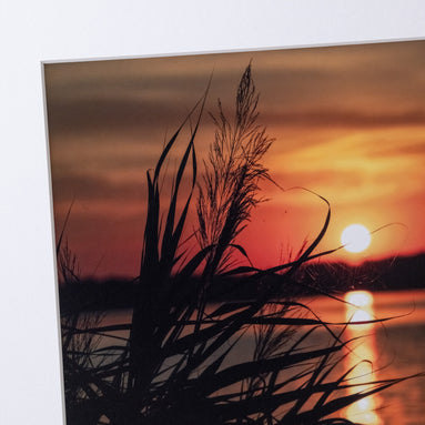 Cossi: Ausschnitt der Original-Fotografie, elbracho Edition aus Leipzig-Connewitz