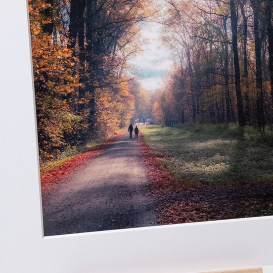 Herbstwald: Ausschnitt der Original-Fotografie, elbracho Edition aus Leipzig